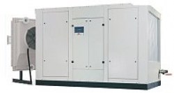000333